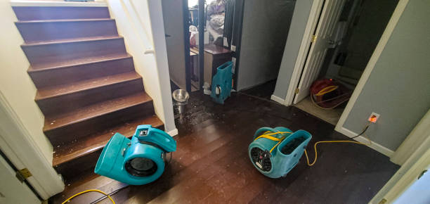 Best Commercial water damage restoration  in Baxley, GA