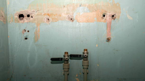 Best Mold removal after water damage  in Baxley, GA