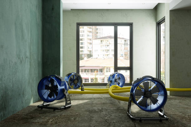 Best Professional water damage repair  in Baxley, GA